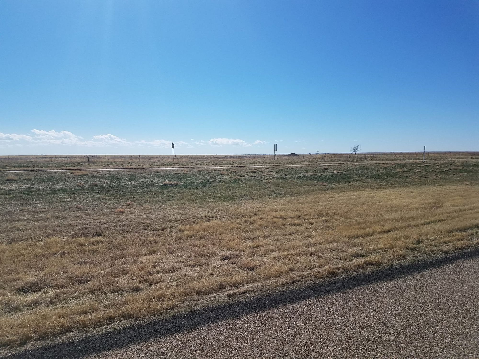 Transmogrification of The Soul: The Reliable Rebirth Narrative of the Great American Road Trip