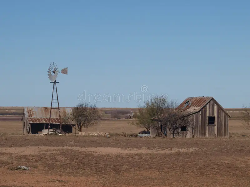 Transmogrification of The Soul: The Reliable Rebirth Narrative of the Great American Road Trip