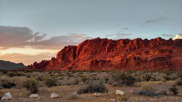 The Southwest's Plus-Size Cousin is Worth Its Weight in Buried Silver