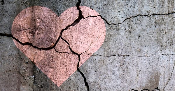 Repudiation, Self-Preservation and the Agonies of Lost Love